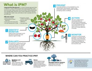 Integrated Pest Management Infographic