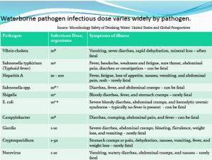 List of diseases waterborne