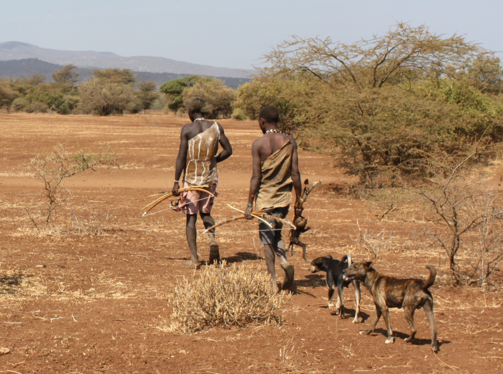 Young men in Africa with two dogs, carrying bows, arrows, and rabbit.