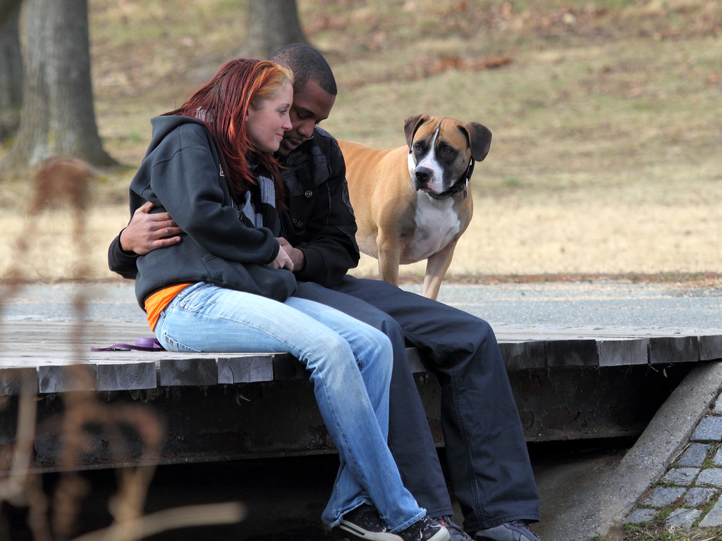 man and woman sit on dock hugging while brown dog looks on.