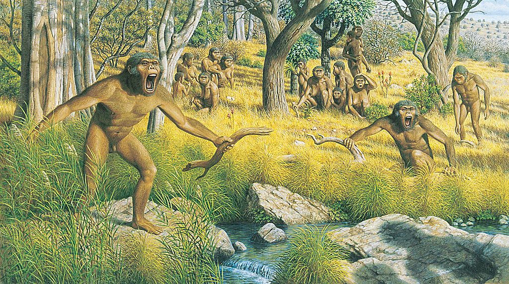 artist rendition of early human/ape ancestors.