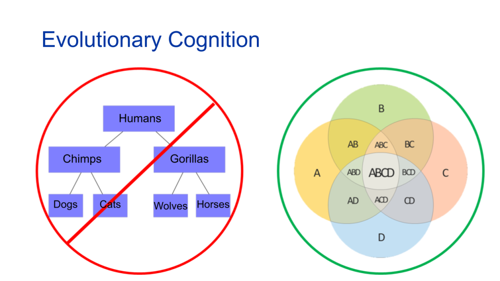 Two diagrams showing the difference between hierarchical perceptions of cognition and integrated or evolutionary perspectives.