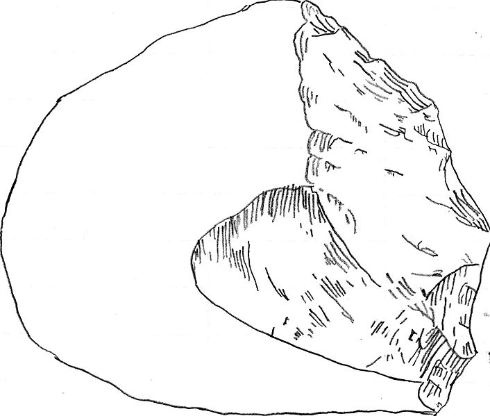 sketch of stone tool showing flaked edge.
