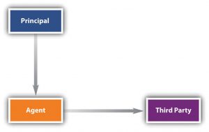 Diagram of agency relationships