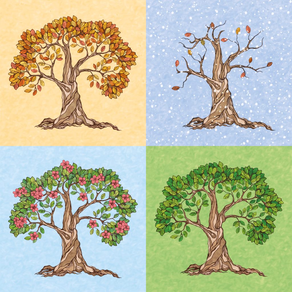 Four seasons summer autumn winter spring tree wallpaper vector illustration