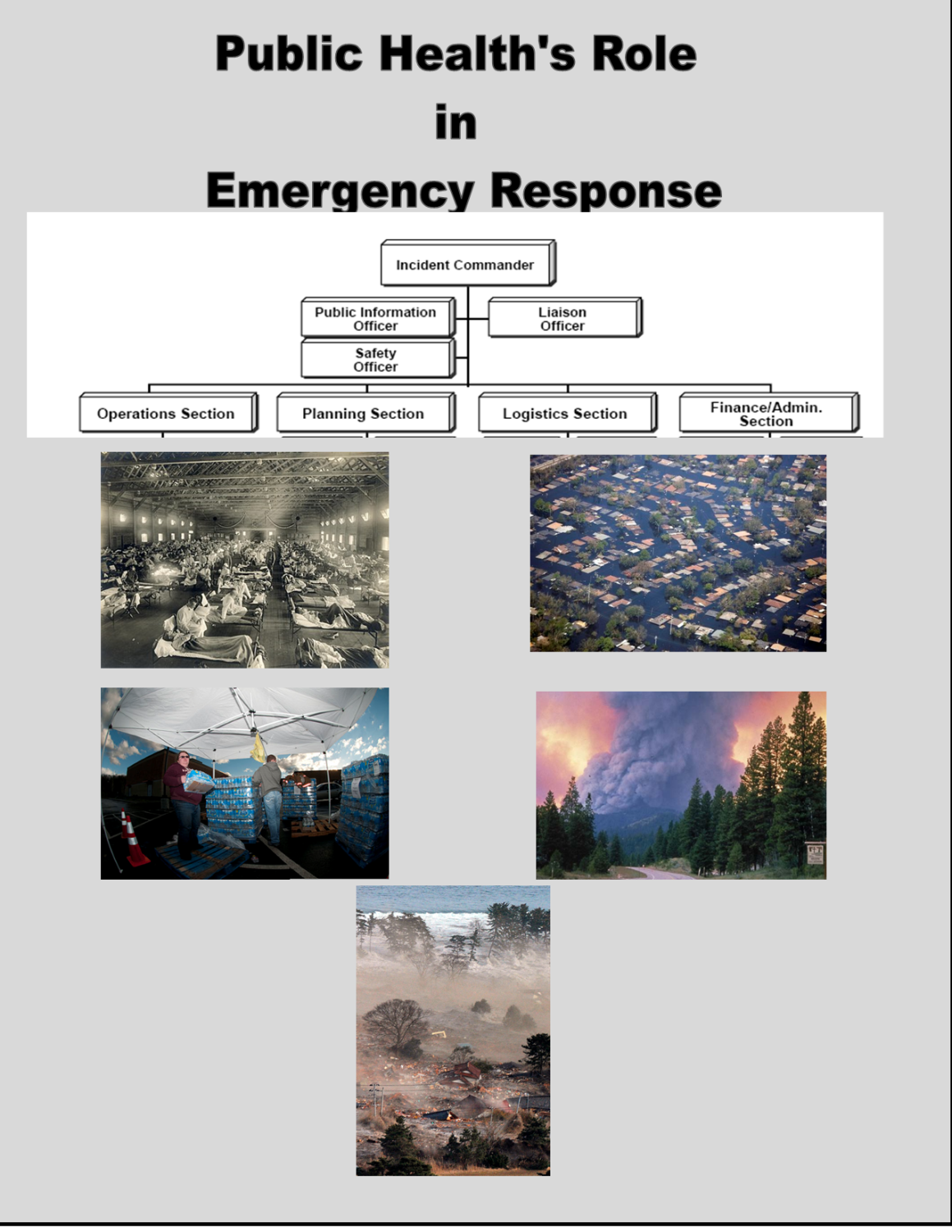 Cover image for Public Health's Role in Emergency Response