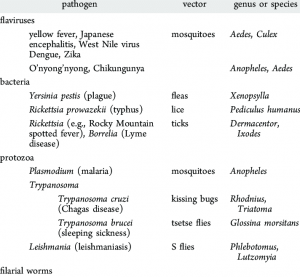 Common Vector Borne Diseases