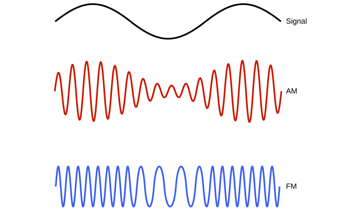 This figure shows 3 wave diagrams. The first wave diagram is in black and shows two crests, indicates a consistent distance from peak to trough, and has one trough in its span across the page. The label, “Signal,” appears to the right. Just below this, a wave diagram is shown in red. The wave includes sixteen crests, but the distance from the peaks to troughs of consecutive waves varies moving across the page. The peak to trough distance is greatest in the region below the peaks of the black wave diagram, and the distance from peak to trough is similarly least below the trough of the black wave diagram. This red wave diagram is labeled, “A M.” The third wave diagram is shown in blue. The distance from peak to trough of consecutive waves is constant across the page, but the peaks and troughs are more closely packed in the region below the peaks of the black wave diagram at the top of the figure. The peaks and troughs are relatively widely spaced below the trough region of the black wave diagram. This blue wave diagram is labeled “F M.”
