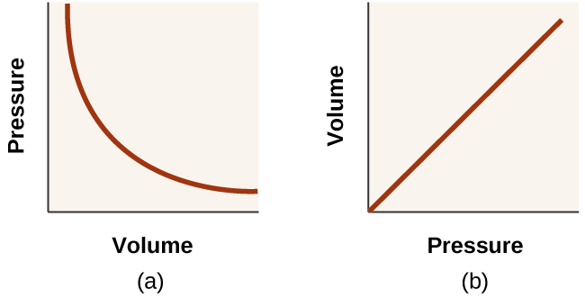 This diagram shows two graphs. In a, a graph is shown with volume on the horizontal axis and pressure on the vertical axis. A curved line is shown on the graph showing a decreasing trend with a decreasing rate of change. In b, a graph is shown with volume on the horizontal axis and one divided by pressure on the vertical axis. A line segment, beginning at the origin of the graph, shows a positive, linear trend.
