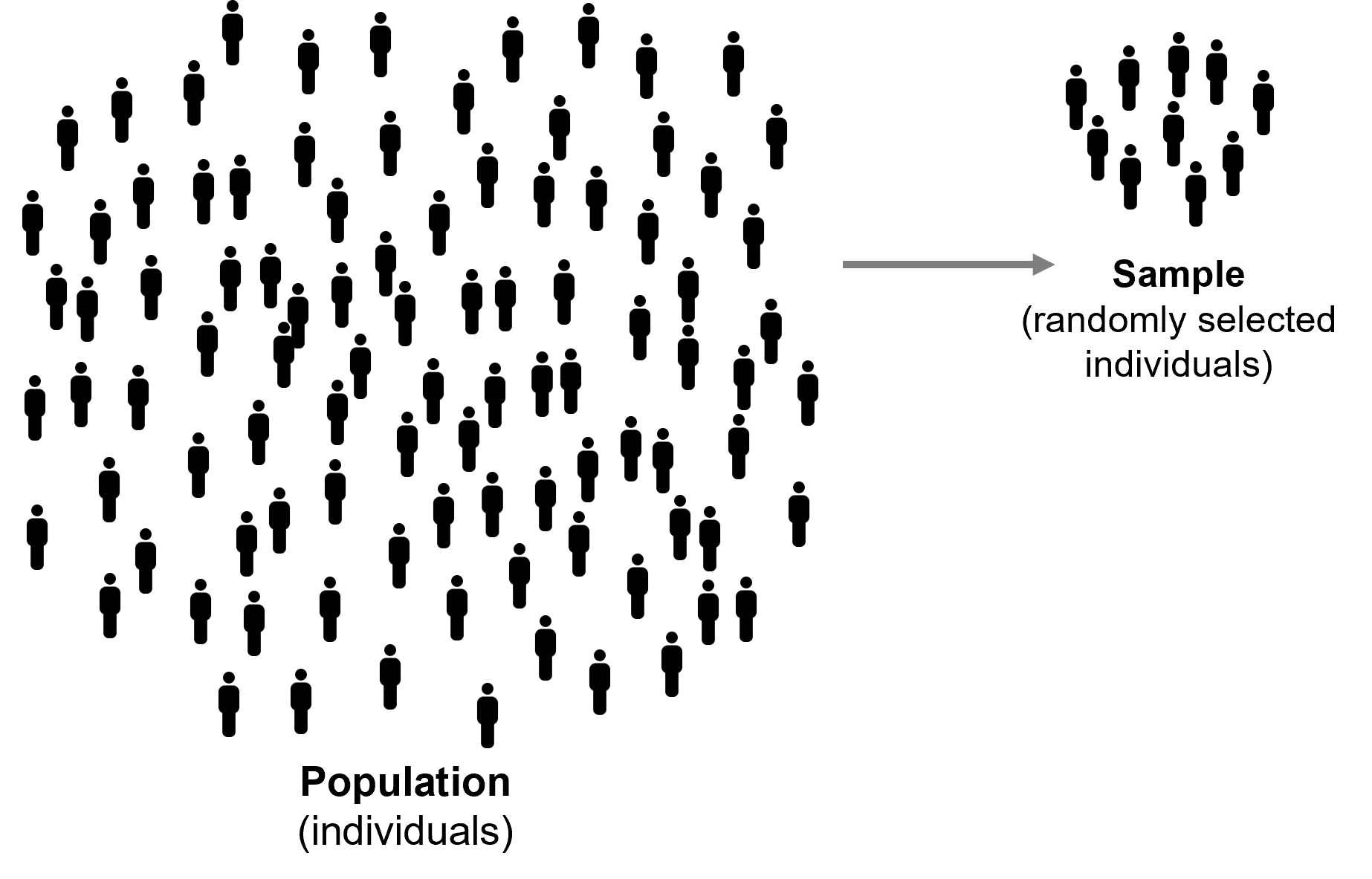 A diagram showing the process of drawing a sample from a population, represented by a large cluster of silhouette individuals (population) and an arrow pointing to a much smaller grouping of silhouette individuals (sample). Individuals in the population are randomly selected to form a sample.