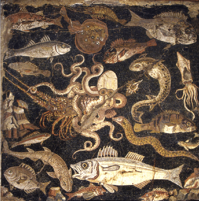 Octopus, eels, and fish in a dark background