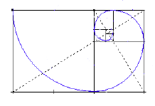 Blue spiral in black lines, connecting to form the "golden ratio"
