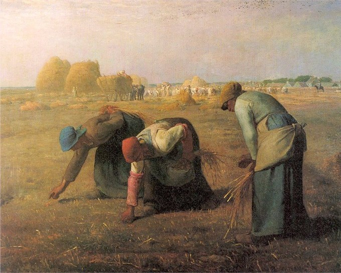 Three women bending and picking wheat in a field