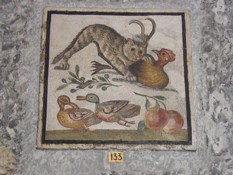 Cat attacking a chicken near two ducks and two apples