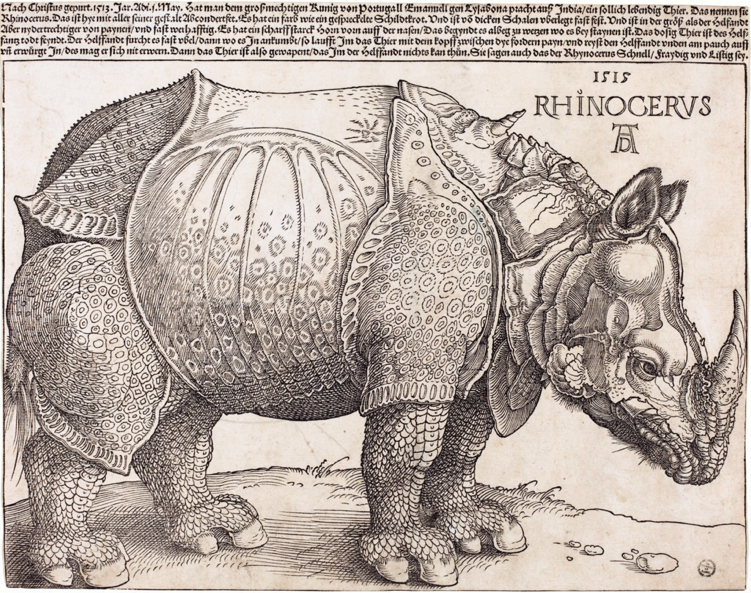 Rhinoceros with armor under a box of text