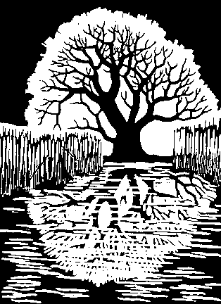 Black oak tree drawing reflecting in water