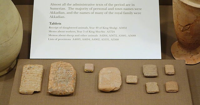 Tan stones with writing lined up under a label in a museum