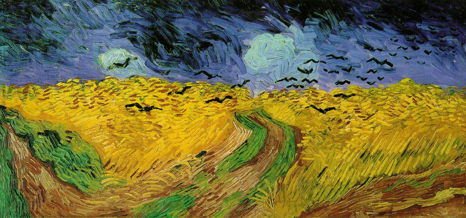 Yellow field under blue sky with a green and brown path and crows flying above