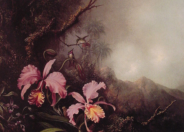 Orchids bloom in front of a dark bush with two birds and a distant mountain