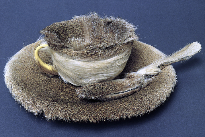 Tea cup, spoon, and saucer covered in fur