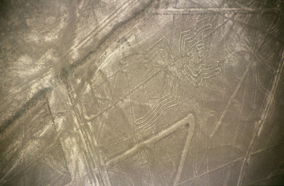 Lines forming spider image in stone