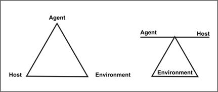Two triangles side-by-side showing the three components of the epidemiologic triangle; the agent, environment and host. The first triangle has these components labeled at each corner, while the second triangle is labeled as the environment and a line balances on the top of the triangle, labeled as agent on one end and host on the other.