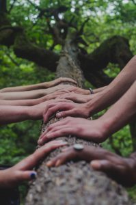 Photo of multiple pairs of hands on a tree trunk
