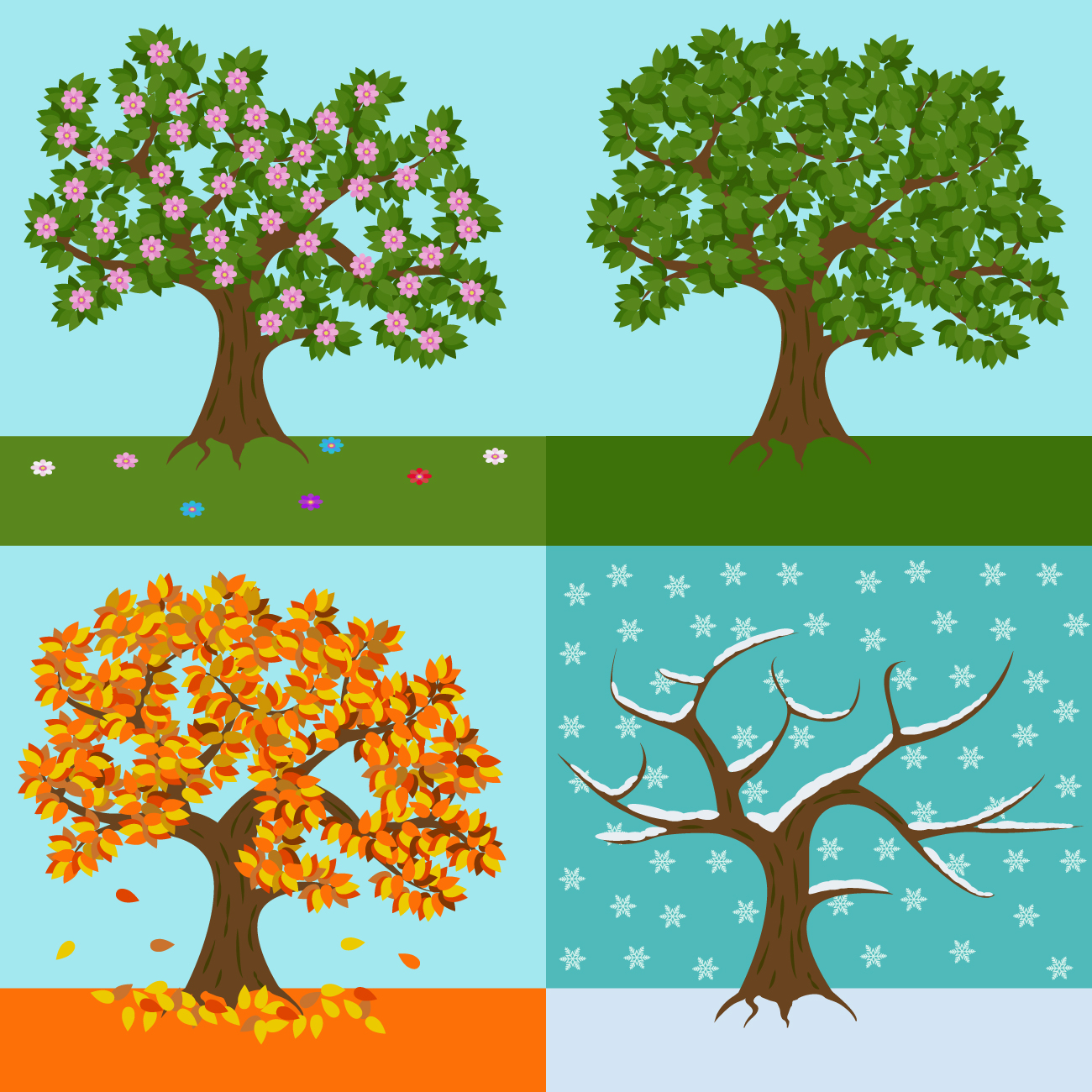 A graphic is split into quadrants with a tree in each section representing a season