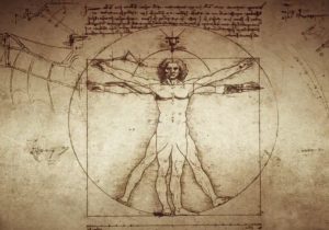 Picture of Da Vinci's Vitruvian Man