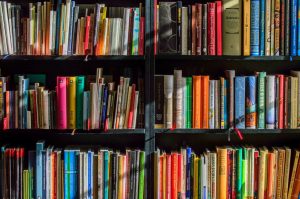 Picture of three shelves of books