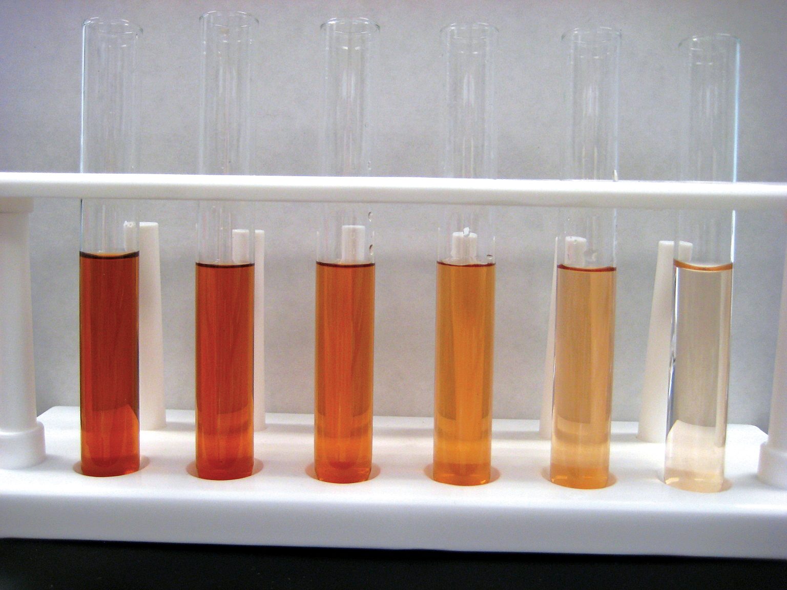 Analysis of Enzymes Using Peroxidase – Biology I: Introduction to Cell ...