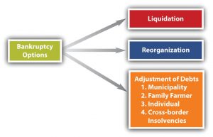 Secured Transactions And Bankruptcy – Business Law: A Risk Management ...