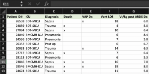 Example dataset in Microsoft Excel(TM) outlining data collected about patient diagnosis and variables including location, mortality, incidence of ventilator associated pneumonia, and tidal volume delivered following a diagnosis of ARDS